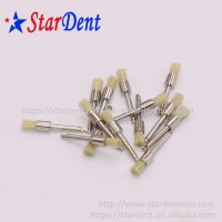 Good Quality Dental Disposable Product Latch-type Flat-head Polishing brush/ Horse Bristle and Metal